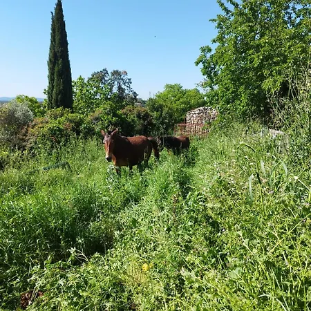 L'oustalet Des Gorges D'ardeche Wifi Et Canal Apartment